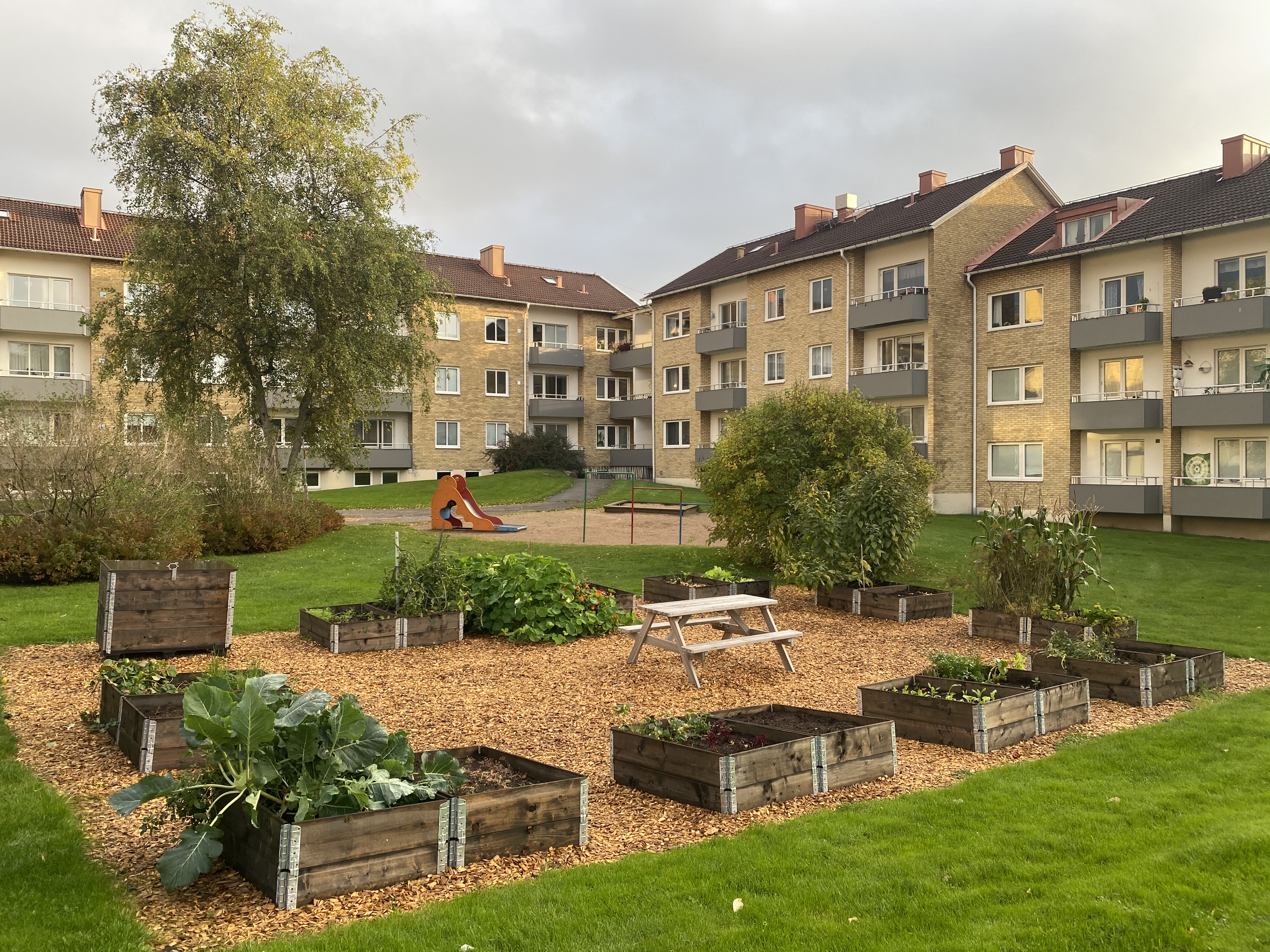 Uddevallahems odlingsplatser på Järvstigen, Bleket