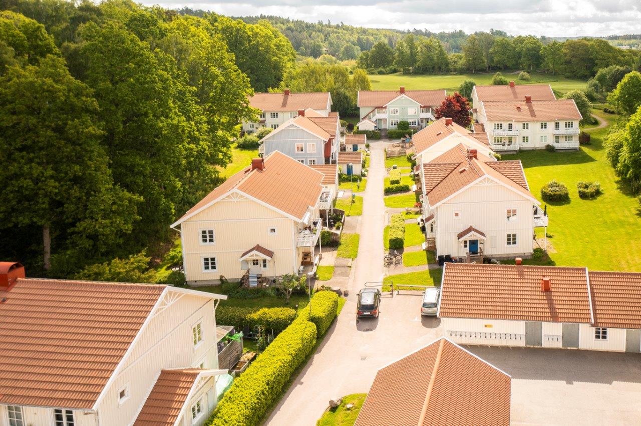 Ljungskile Korpemyren_översikt