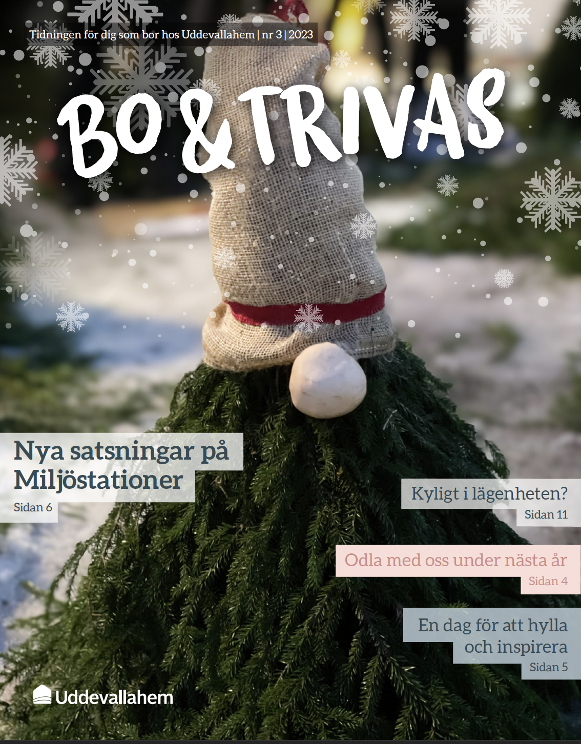 Omslag Bo & Trivas nr 3 2023